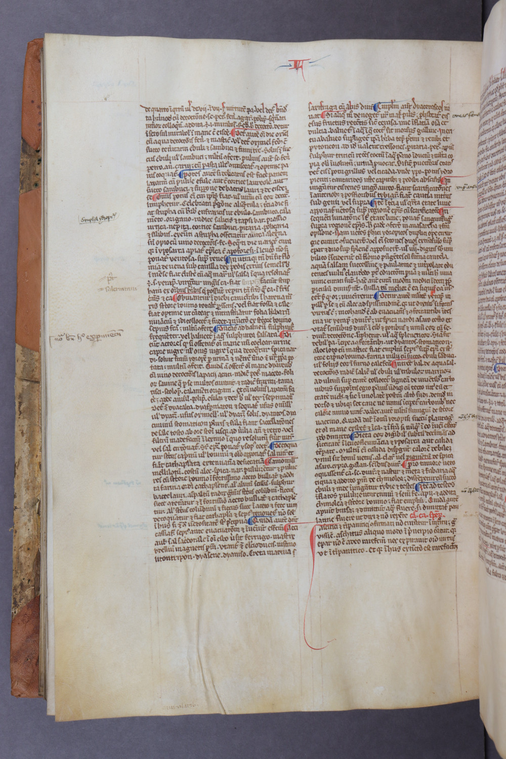 Folio 118 verso